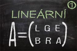 Lineární algebra I - náhledový obrázek